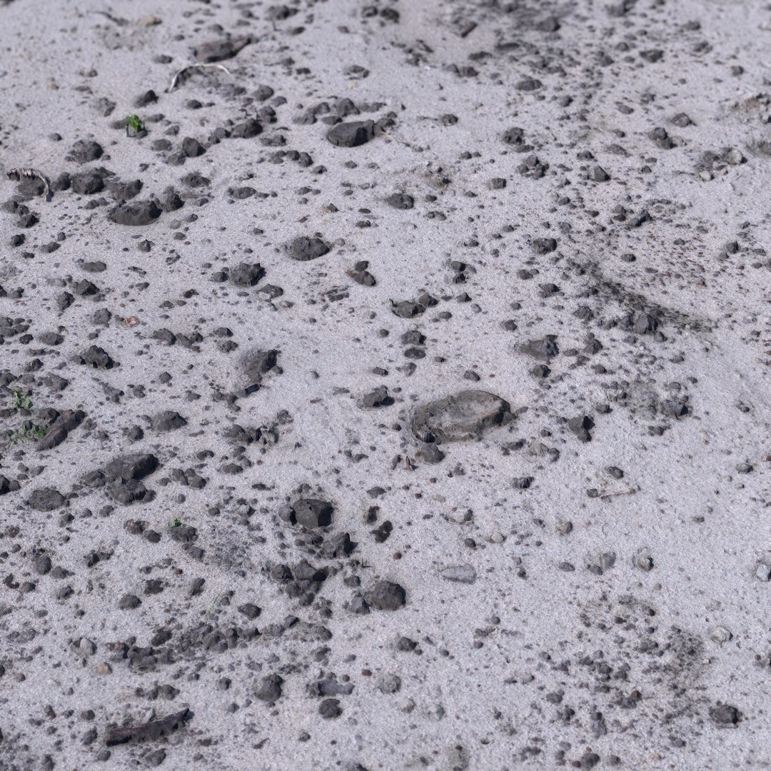 3D tiled scanned sand bits model https://p.turbosquid.com/ts-thumb/hn/LE58x0/AmqT7OAA/sand_with_gr_b_02/jpg/1550683557/1920x1080/fit_q87/c45de4237d285e0336fdb58593e1f84c2e60a597/sand_with_gr_b_02.jpg