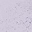 Sand with bits of earth scan 24 tile textures