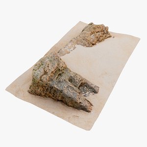 Beach Rock Scan 10 16K