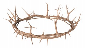 3D model Wooden Crown of Thorns PBR 02