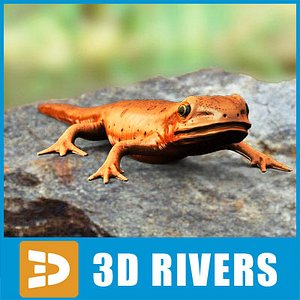 Red-spotted Newt by 3DRivers