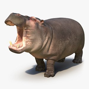 3d 3ds hippopotamus pose 2