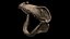 Megalodon Shark Jaw 3D