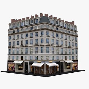 Typical Parisian Apartment Building 29