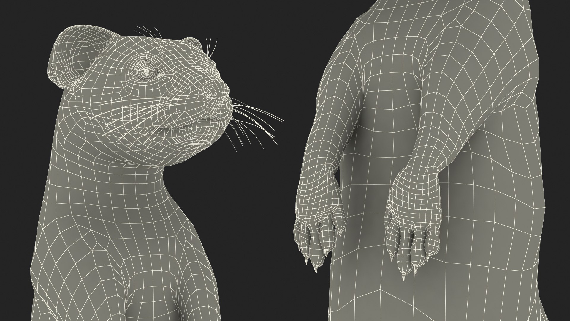 3D Standing White Ermine model https://p.turbosquid.com/ts-thumb/ho/HVjRnw/7k/standingwhiteermine3dsmodel024/jpg/1711940557/1920x1080/fit_q87/a831c3fe4231298b9ed6520179889d6db2af95e4/standingwhiteermine3dsmodel024.jpg