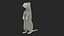 3D Standing White Ermine model