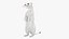 3D Standing White Ermine model