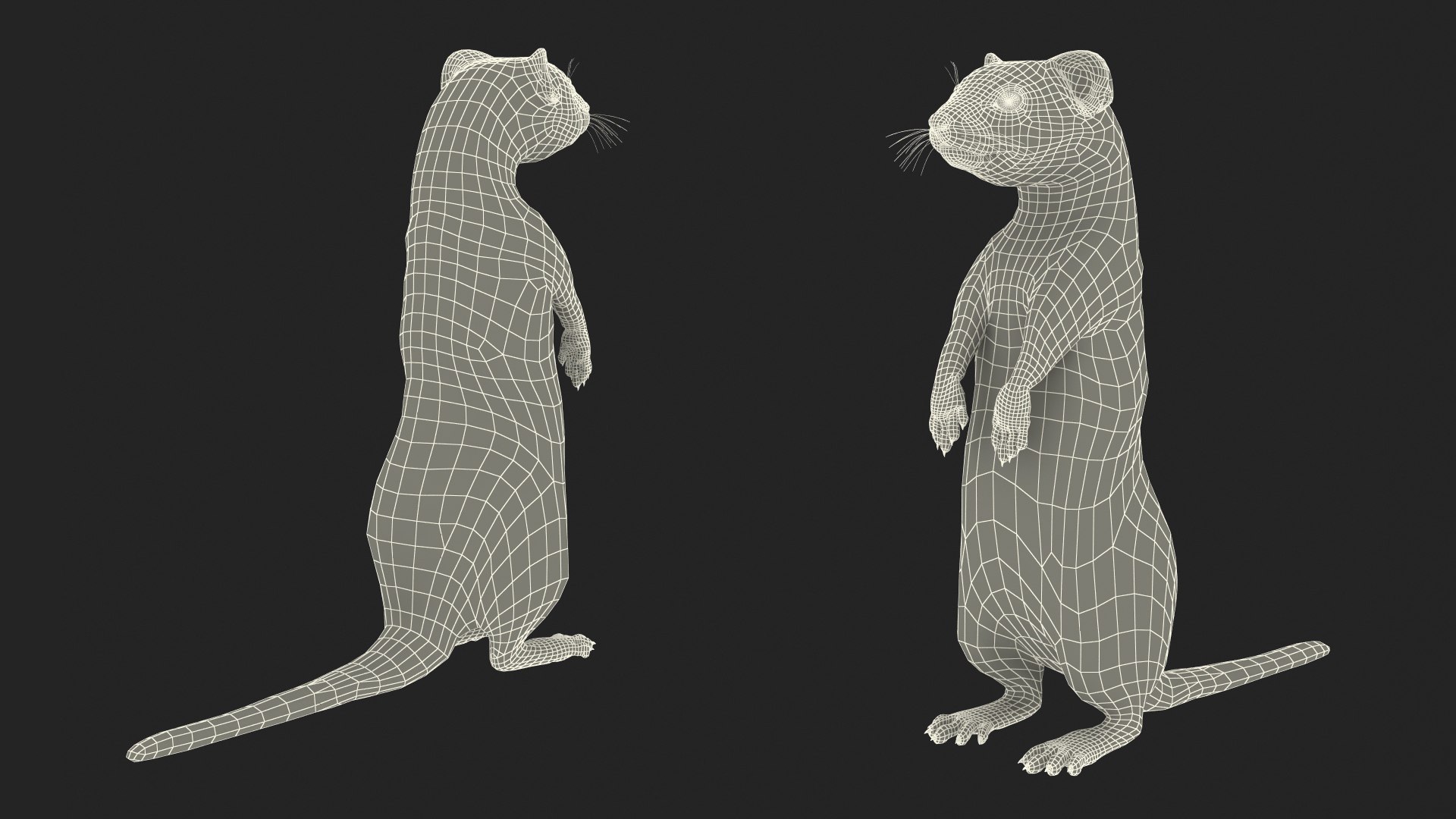 3D Standing White Ermine model https://p.turbosquid.com/ts-thumb/ho/HVjRnw/eX/standingwhiteermine3dsmodel022/jpg/1711940551/1920x1080/fit_q87/8f77c47f3a91fabb345158421431316283872f1b/standingwhiteermine3dsmodel022.jpg