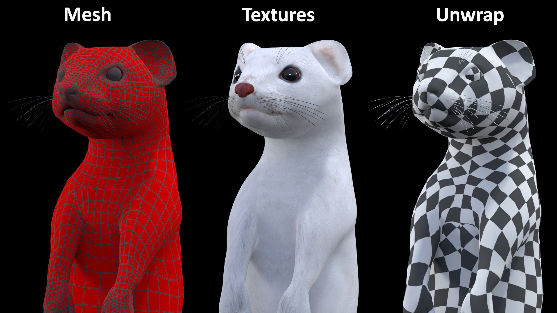 3D Standing White Ermine model https://p.turbosquid.com/ts-thumb/ho/HVjRnw/iu/standingwhiteermine3dsmodel013/jpg/1711940521/1920x1080/fit_q87/8c214edb07fbd64961abf16b9759eb4775e7bf08/standingwhiteermine3dsmodel013.jpg