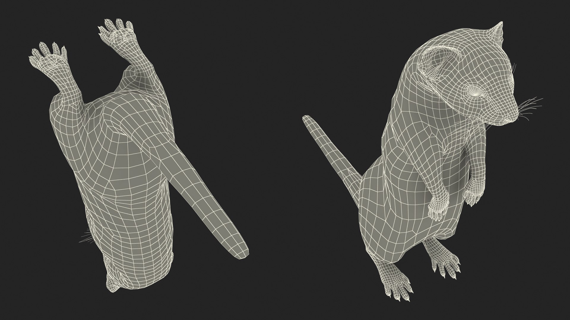 3D Standing White Ermine model https://p.turbosquid.com/ts-thumb/ho/HVjRnw/kl/standingwhiteermine3dsmodel023/jpg/1711940554/1920x1080/fit_q87/52c1d6cc6d2ee3b6ba973be2b43be5298c49d598/standingwhiteermine3dsmodel023.jpg
