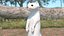 3D Standing White Ermine model