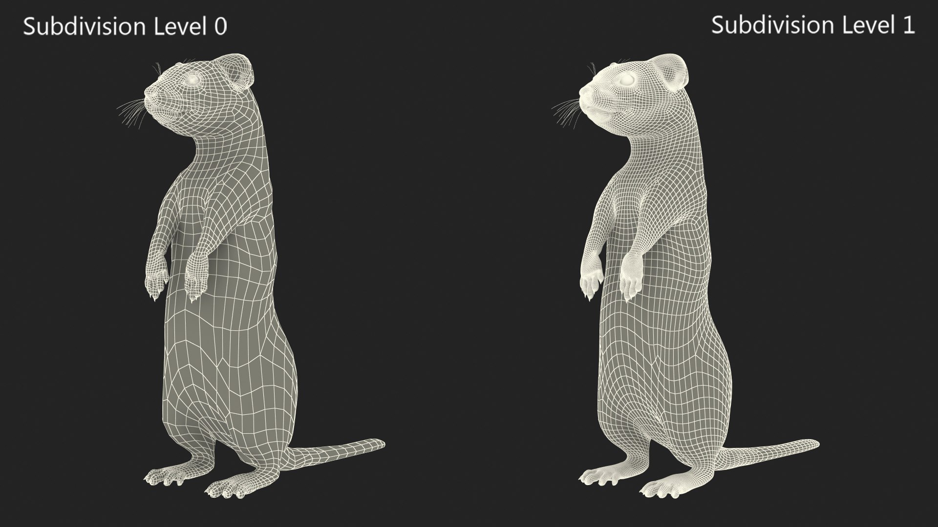 3D Standing White Ermine model https://p.turbosquid.com/ts-thumb/ho/HVjRnw/qu/standingwhiteermine3dsmodel014/jpg/1711940524/1920x1080/fit_q87/6fe0ae139fbe2abf8c653131aca2b619486cdc93/standingwhiteermine3dsmodel014.jpg