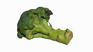 3D Half Broccoli