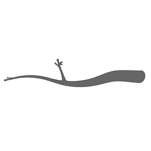 3D branch