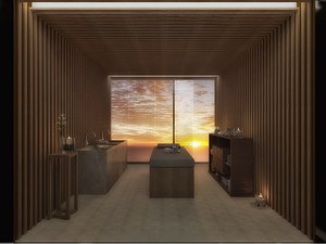 massage spa max
