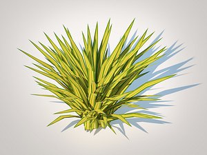 Carex siderosticha Banana Boat Sedge 3D model