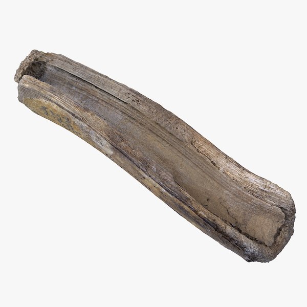 Twig 09 3D model