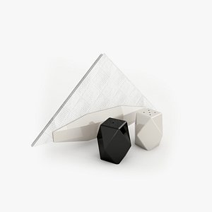 3D model salt shaker napkins