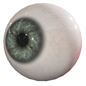 human eye model