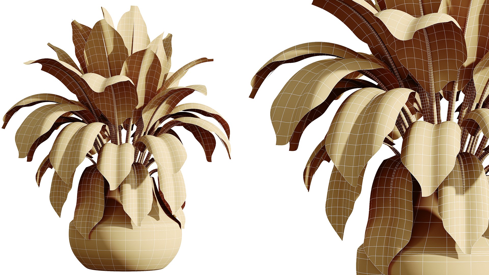 AV HousePlants Ficus Elastica Robusta Abidjan Set02 model https://p.turbosquid.com/ts-thumb/hp/fTRwWJ/Jj/07/png/1736316056/1920x1080/fit_q87/a8a5e233ab7292d36e41bc33c12d96a8e1f5739b/07.jpg