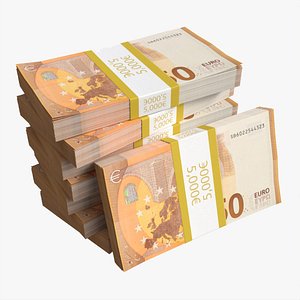 Euro banknote bundles medium set model