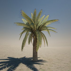 3d obj palm tree