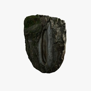 3D Anydrafts Salix matsudana Burl 07