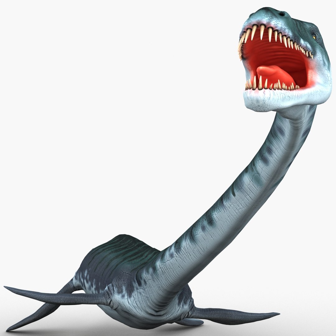 3d Plesiosaur Pose 1