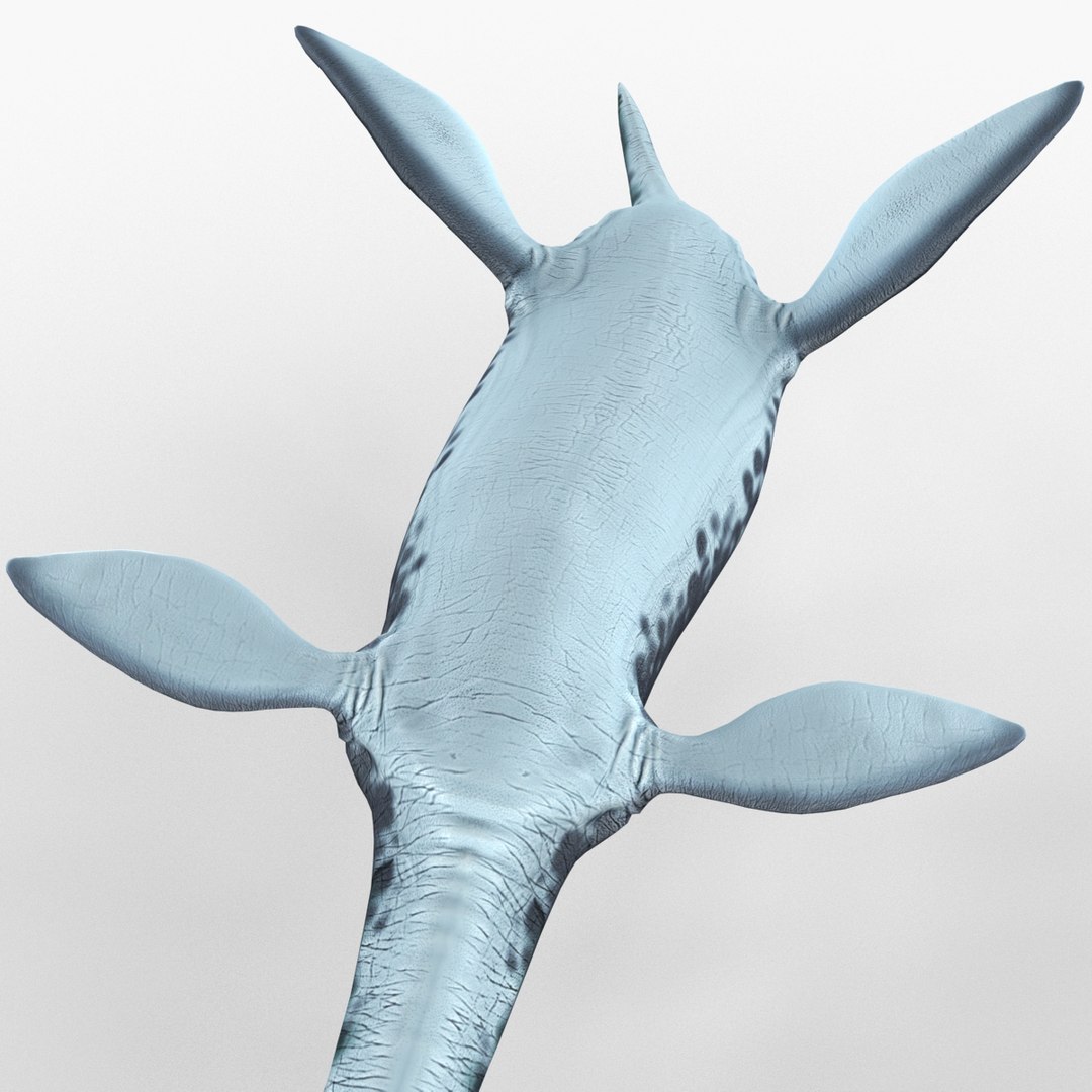 3d Plesiosaur Pose 1