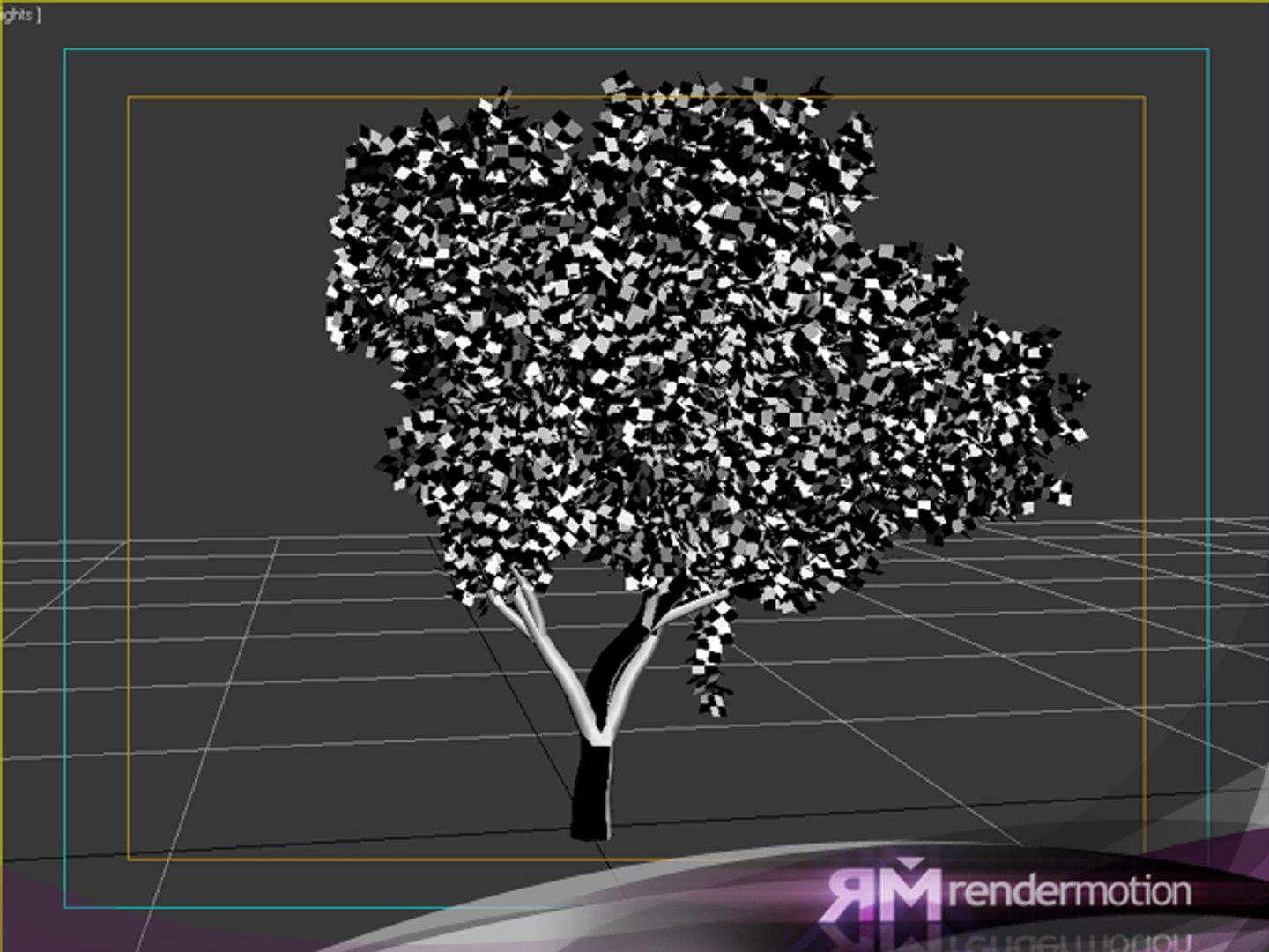 D2 C1 32 Maple 3d Model