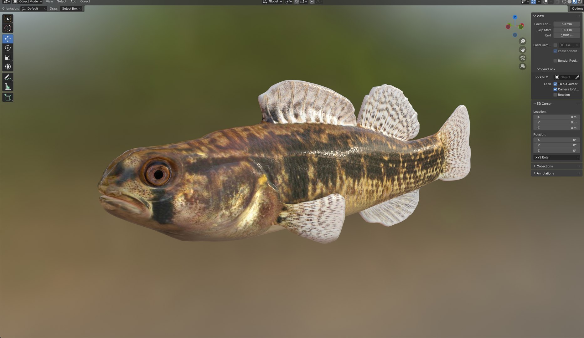 Goldstripe Darter fish 3D model https://p.turbosquid.com/ts-thumb/hq/6axIEe/kk/6/jpg/1767786462/1920x1080/fit_q87/e2e7041526ee33df00a35db15ec4df69e3da5a0c/6.jpg