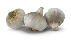 Garlic Bulb