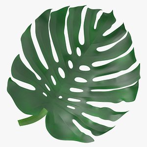 Prop01 Palm Leaves Type 03