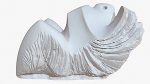 Abstract Sculpture 1M Raw Scan