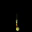 Crocus Abantensis