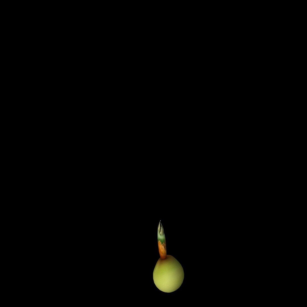 flowers open animation 3D model https://p.turbosquid.com/ts-thumb/hq/cU635G/UMLBlgGT/05/jpg/1593951726/1920x1080/fit_q87/8ddffc9b8546e10ea7c331ee4822328f7131d3d5/05.jpg