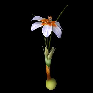 flowers open animation 3D model