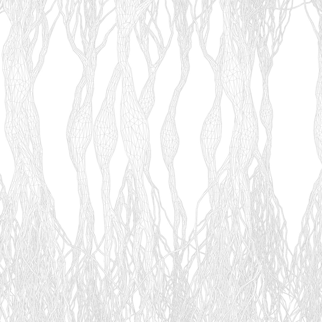 Pyramidal Neurons 3D model https://p.turbosquid.com/ts-thumb/hq/dXzLRw/ma/render_wireframe_001/png/1645184040/1920x1080/fit_q87/029e1a9cf086c669bc42a111dbecf9d5afdc9fae/render_wireframe_001.jpg