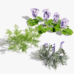 3D Garden Plants 3D Model Collection model