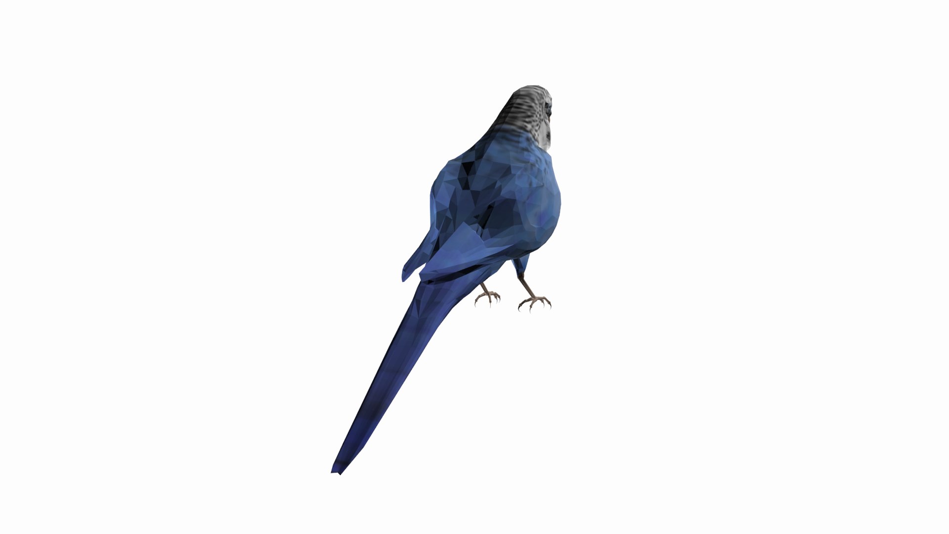 parakeet bird 3D https://p.turbosquid.com/ts-thumb/hq/gm2BsT/40/p5/png/1609592090/1920x1080/fit_q87/6ae8240acbde6755e7448da78e15b74424aa4af9/p5.jpg