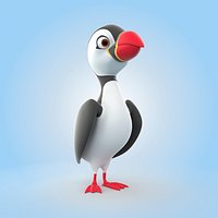 Puffin Bird