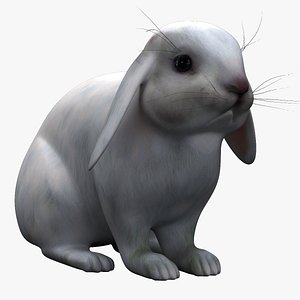 white rabbit 3d 3ds