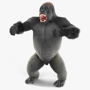 3D Roaring Gorilla Fur Animated Rigged model