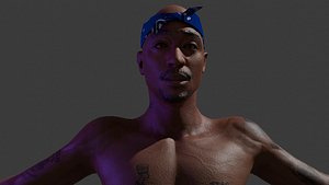 Celebrity Wannabe Series 2-PAC