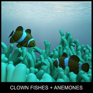 clown fishes anemones 3d model