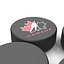 Hockey Pucks 3D Models Collection