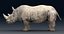 Rhinoceros_Rigged