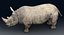 Rhinoceros_Rigged