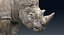 Rhinoceros_Rigged