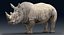 Rhinoceros_Rigged